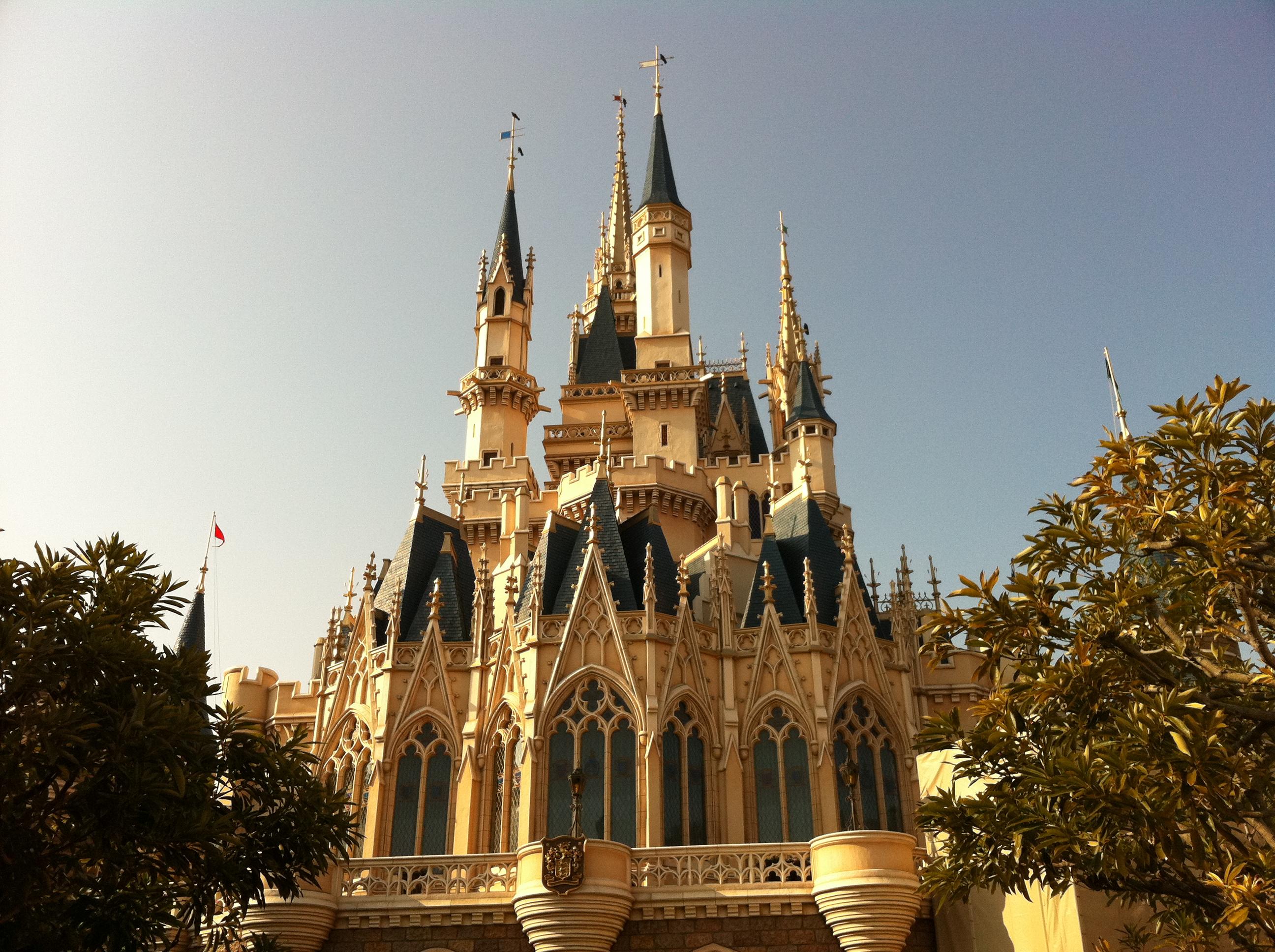 �V���f������