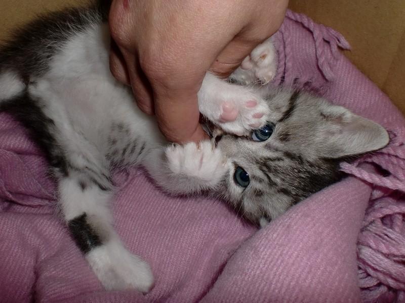 �`�������܂ꂽ��