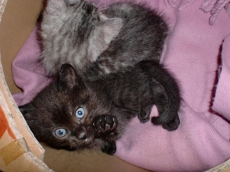 �W�I�����܂ꂽ��