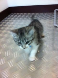 2011.1�`����